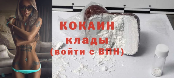 гашик Арсеньев
