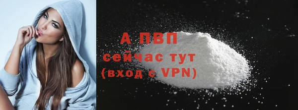 гашик Арсеньев