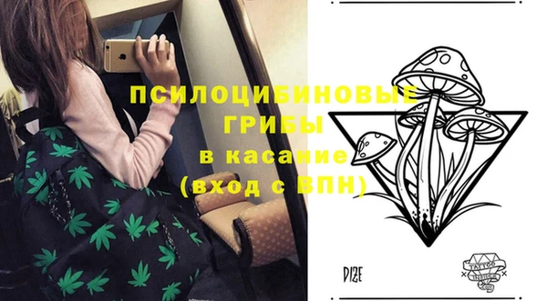 ешки Покровск