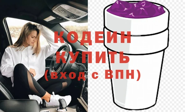 гашик Арсеньев