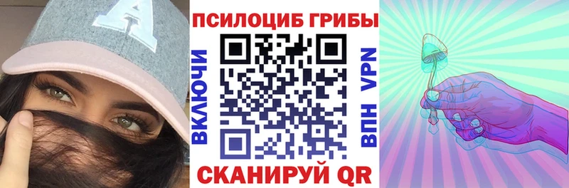 Псилоцибиновые грибы Psilocybe  Мышкин 